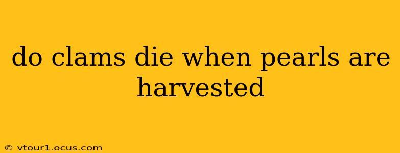 do clams die when pearls are harvested