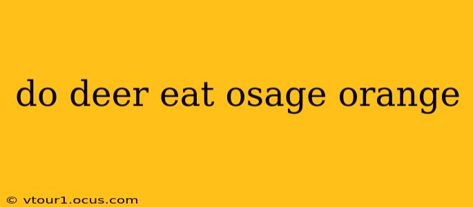 do deer eat osage orange