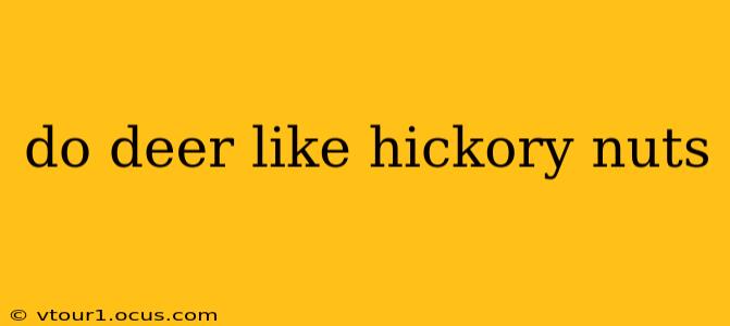 do deer like hickory nuts