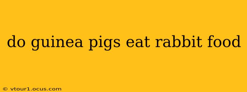 do guinea pigs eat rabbit food