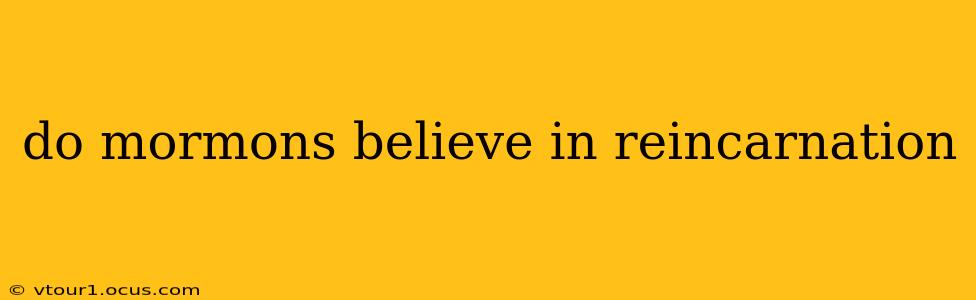 do mormons believe in reincarnation