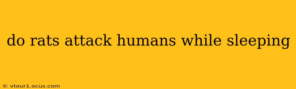 do rats attack humans while sleeping
