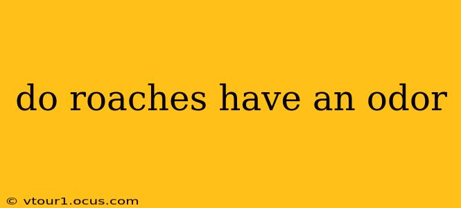 do roaches have an odor