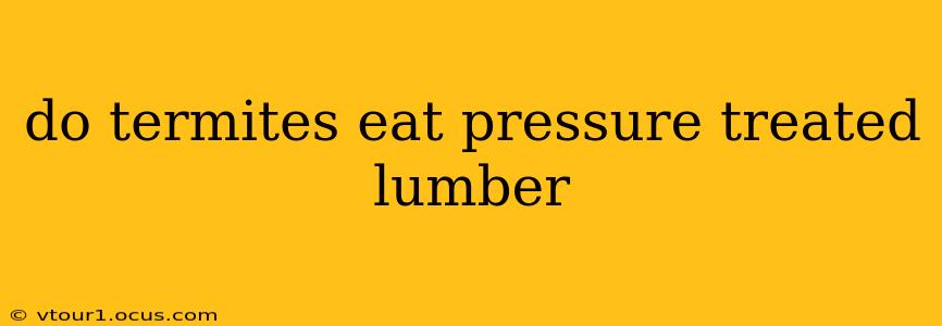 do termites eat pressure treated lumber