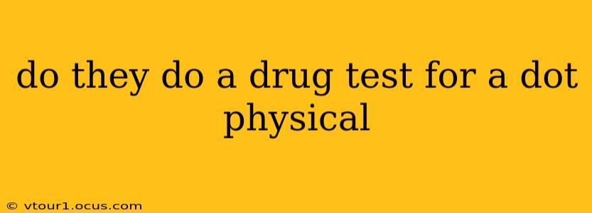 do they do a drug test for a dot physical