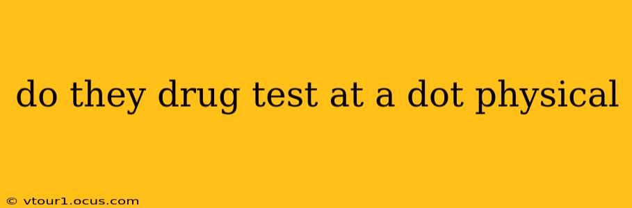 do they drug test at a dot physical