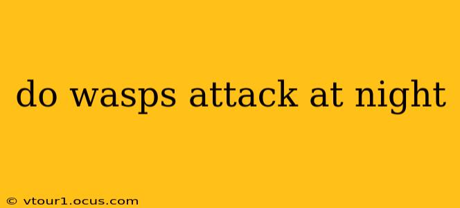 do wasps attack at night