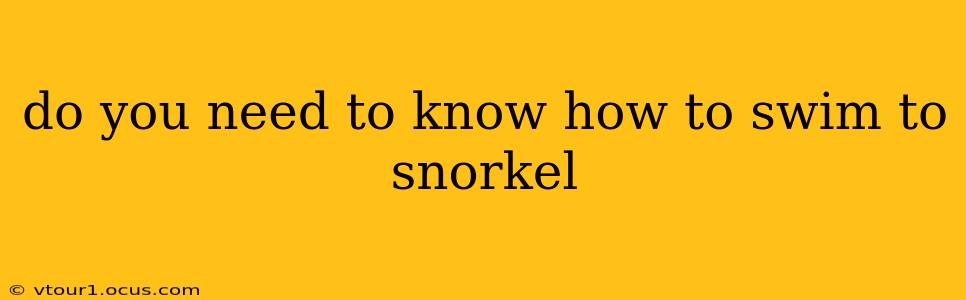 do you need to know how to swim to snorkel