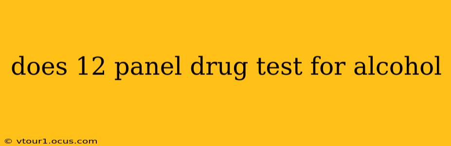 does 12 panel drug test for alcohol