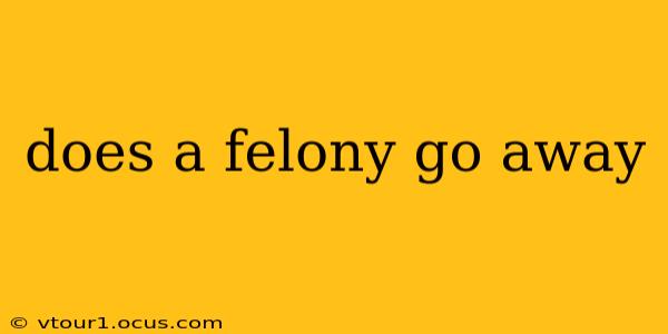 does a felony go away