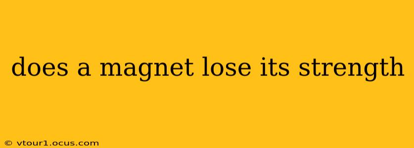 does a magnet lose its strength