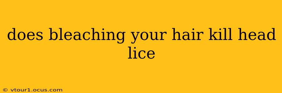 does bleaching your hair kill head lice