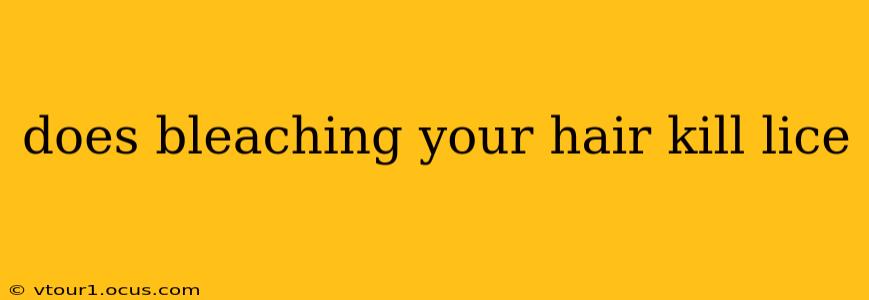 does bleaching your hair kill lice