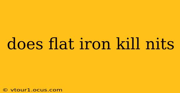 does flat iron kill nits