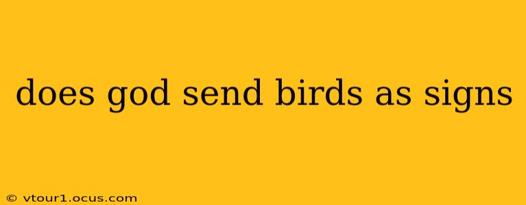 does god send birds as signs
