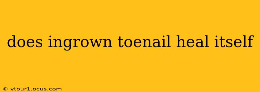 does ingrown toenail heal itself