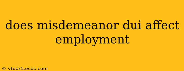 does misdemeanor dui affect employment