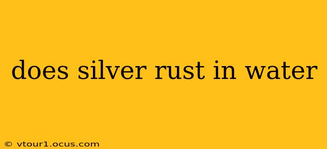 does silver rust in water