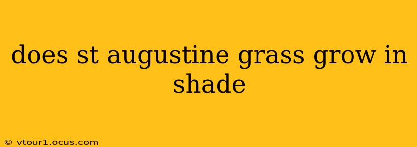 does st augustine grass grow in shade