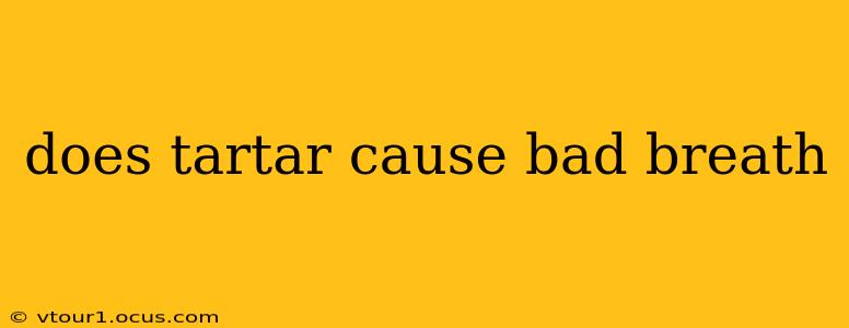 does tartar cause bad breath