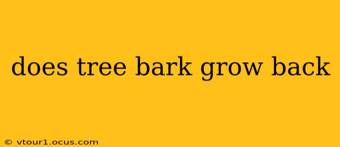 does tree bark grow back