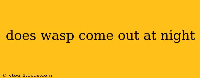 does wasp come out at night