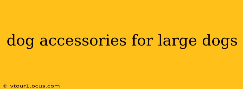 dog accessories for large dogs