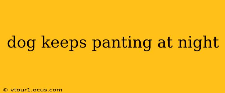 dog keeps panting at night