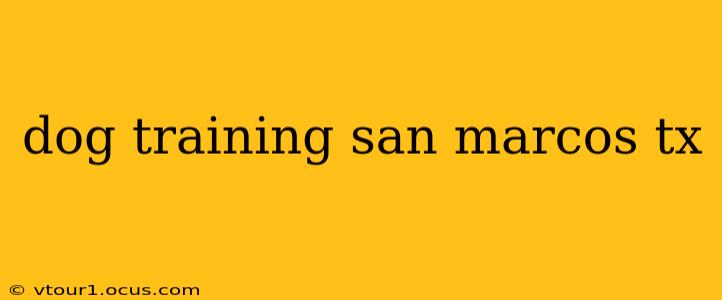 dog training san marcos tx