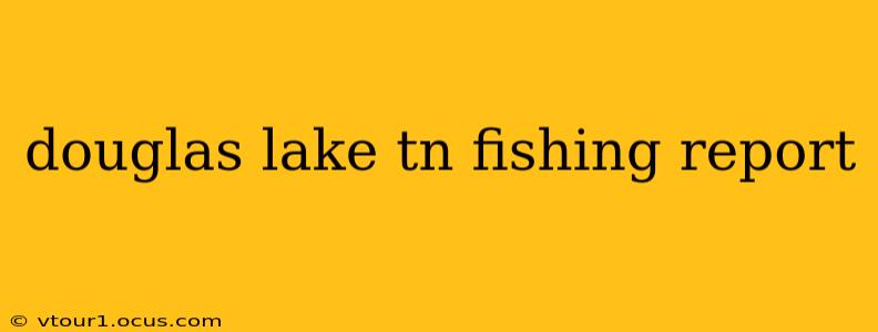 douglas lake tn fishing report