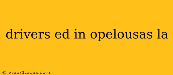 drivers ed in opelousas la
