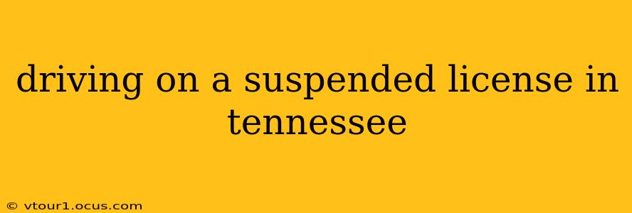 driving on a suspended license in tennessee