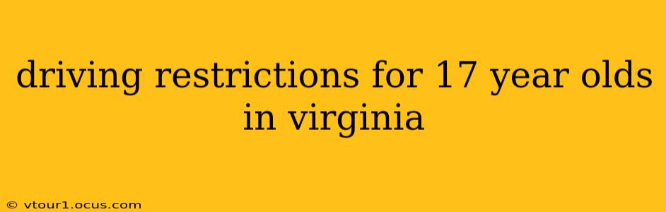 driving restrictions for 17 year olds in virginia