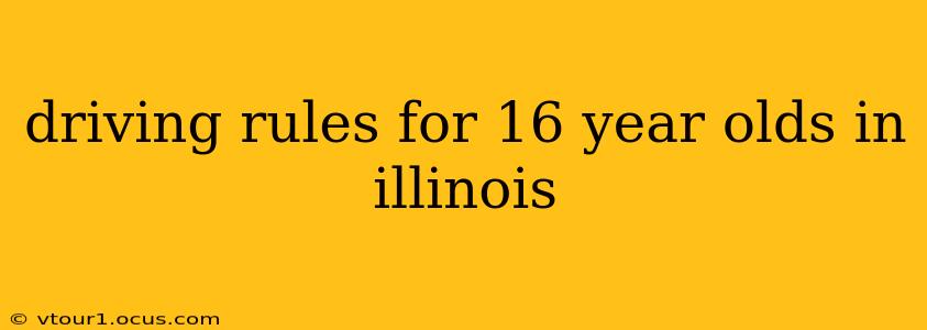 driving rules for 16 year olds in illinois