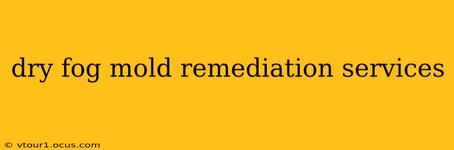 dry fog mold remediation services