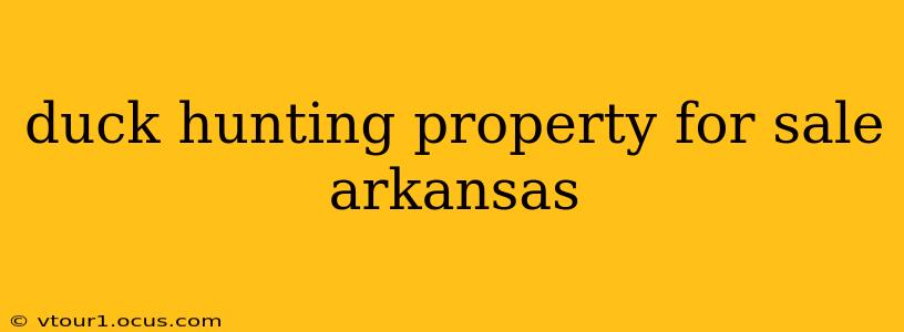 duck hunting property for sale arkansas