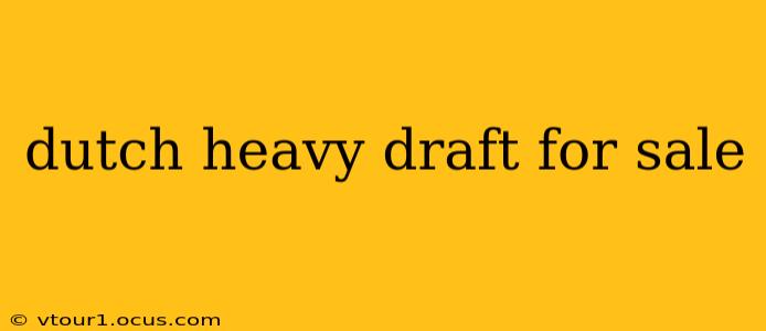 dutch heavy draft for sale