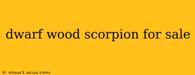 dwarf wood scorpion for sale