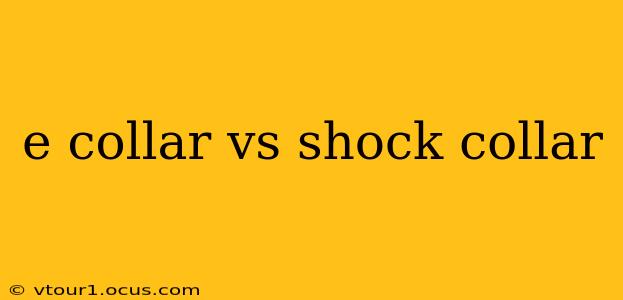 e collar vs shock collar