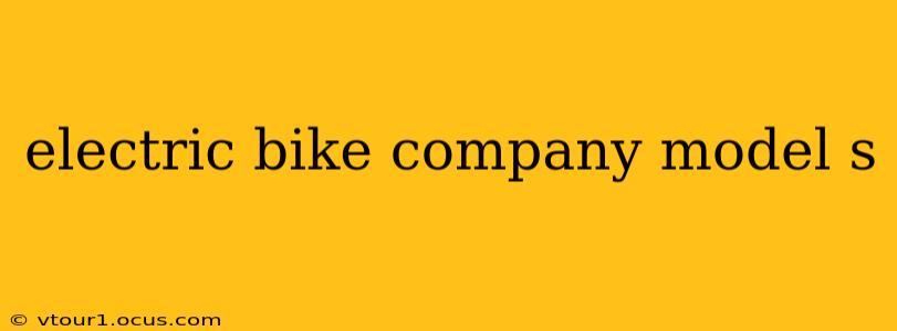 electric bike company model s