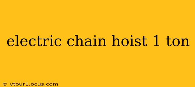 electric chain hoist 1 ton