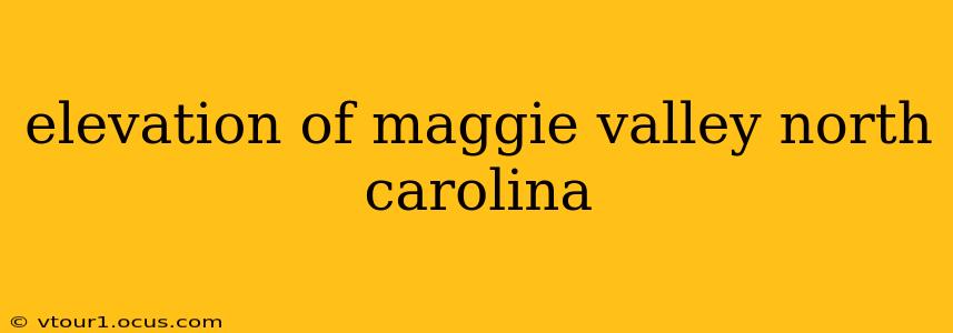 elevation of maggie valley north carolina