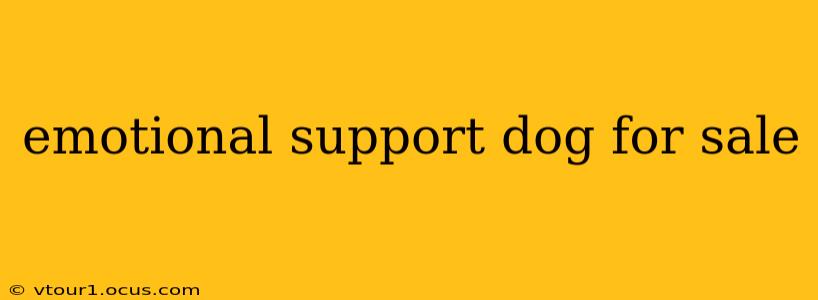 emotional support dog for sale