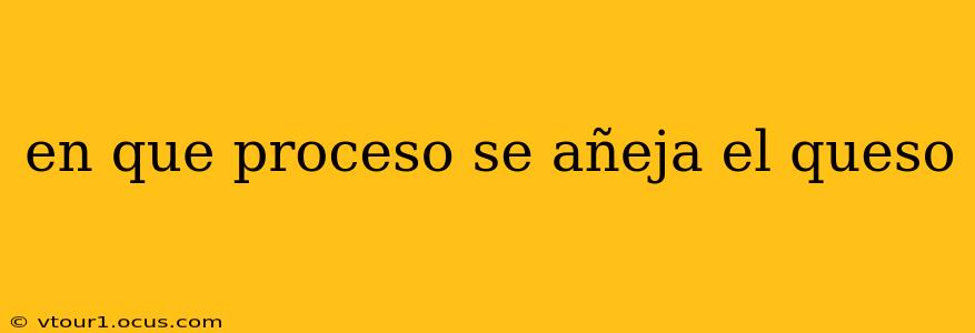 en que proceso se añeja el queso