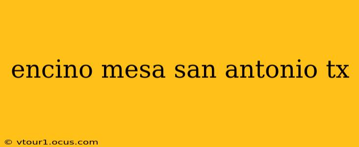 encino mesa san antonio tx