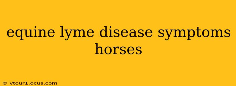 equine lyme disease symptoms horses