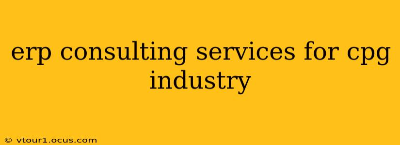 erp consulting services for cpg industry