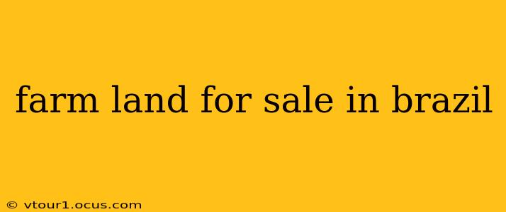 farm land for sale in brazil