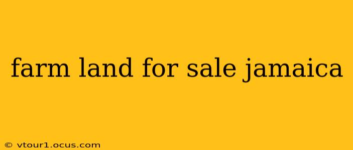 farm land for sale jamaica