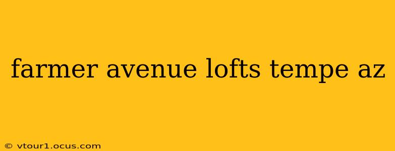 farmer avenue lofts tempe az